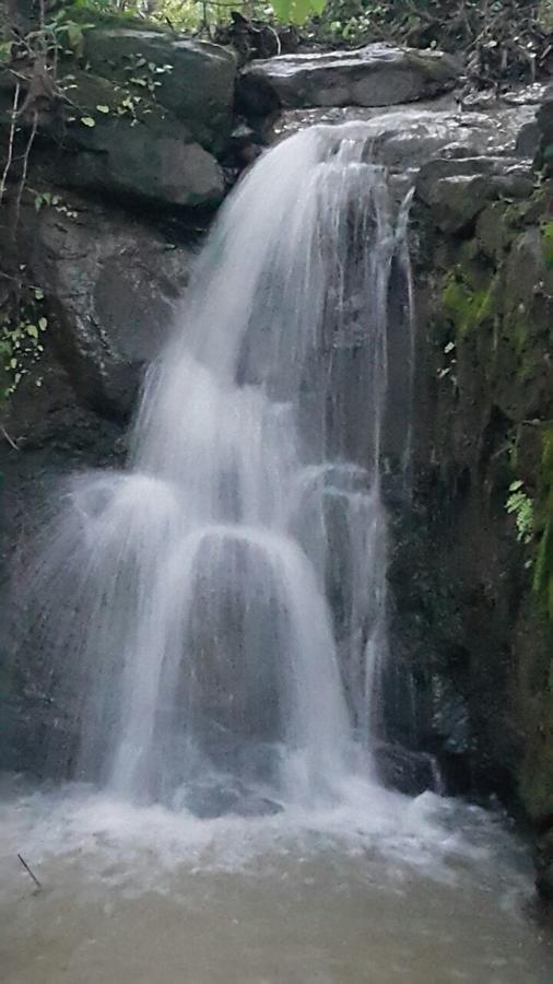 Cherilyn Monta Resort - Ratnagiri Vatul Εξωτερικό φωτογραφία